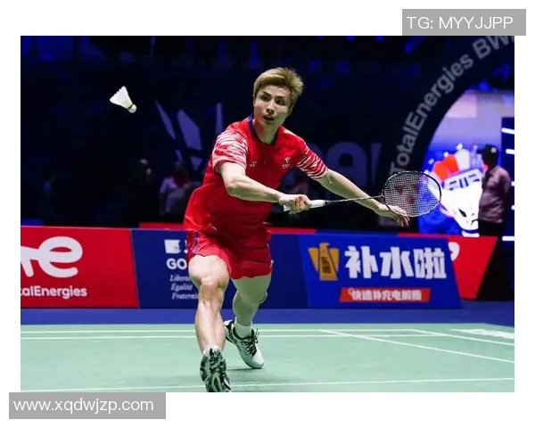 全国锦标赛回顾：西安羽毛球队展现出色速度与技巧的完美结合