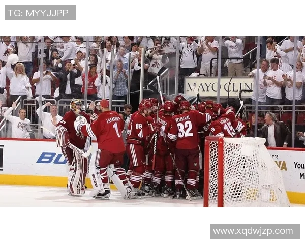 成都排球队的反击之路：从挑战到辉煌的全景解读