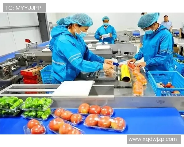 北京篮球队加速转型探讨：从传统到现代的全面变革之路