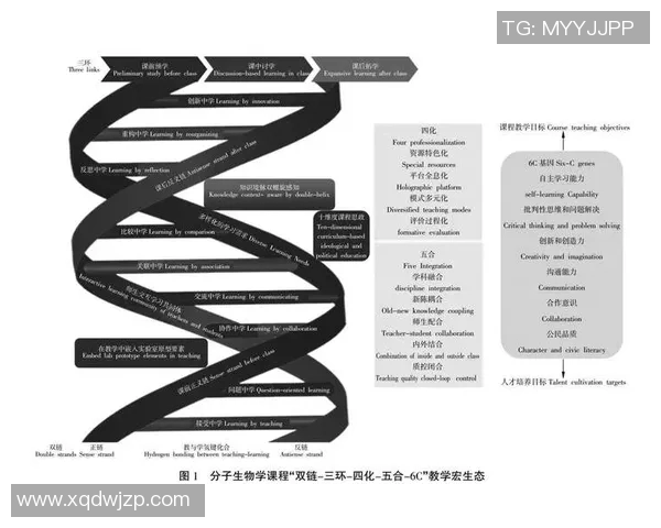 成都篮球队技术分析与战术创新的深度探讨与展望