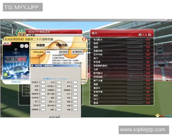 武汉足球队球员个人能力分析与表现评估研究