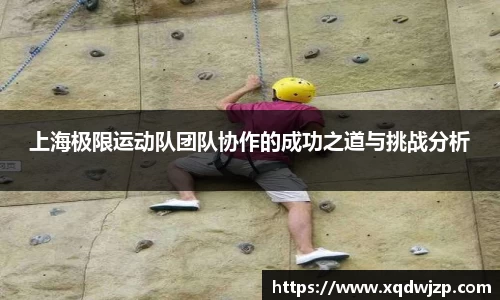 上海极限运动队团队协作的成功之道与挑战分析